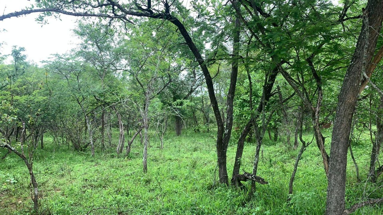 Vacant Land for sale in Marloth Park