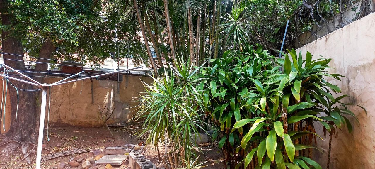 2 Bedroom duplex apartment for sale in Musgrave, Durban