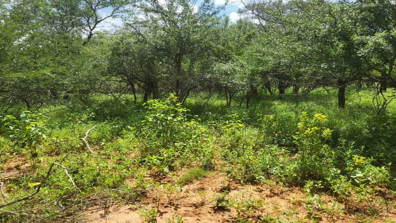 Vacant Land for sale in Marloth Park