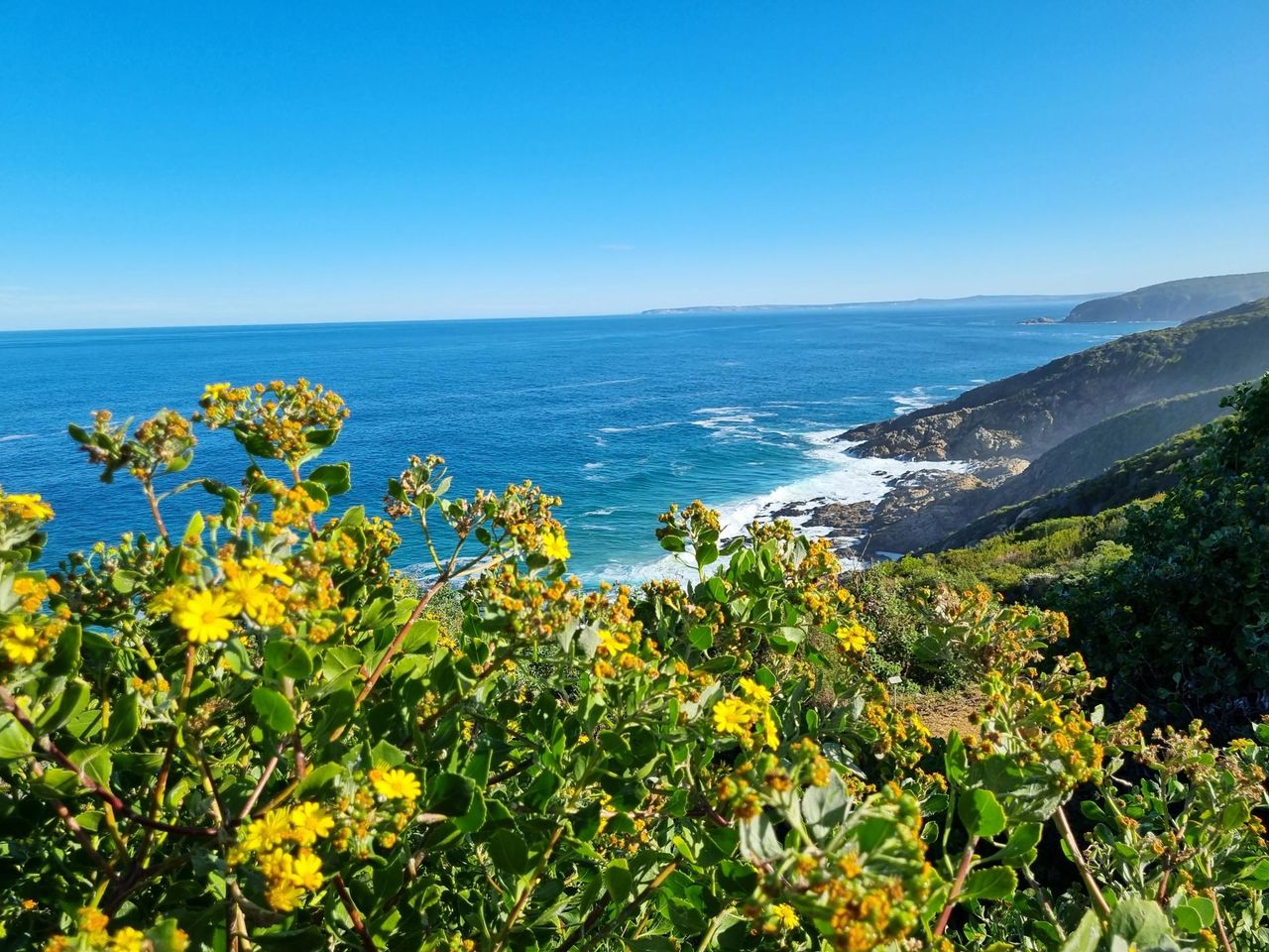 Vacant Stand for sale in The Brink Eco Estate,